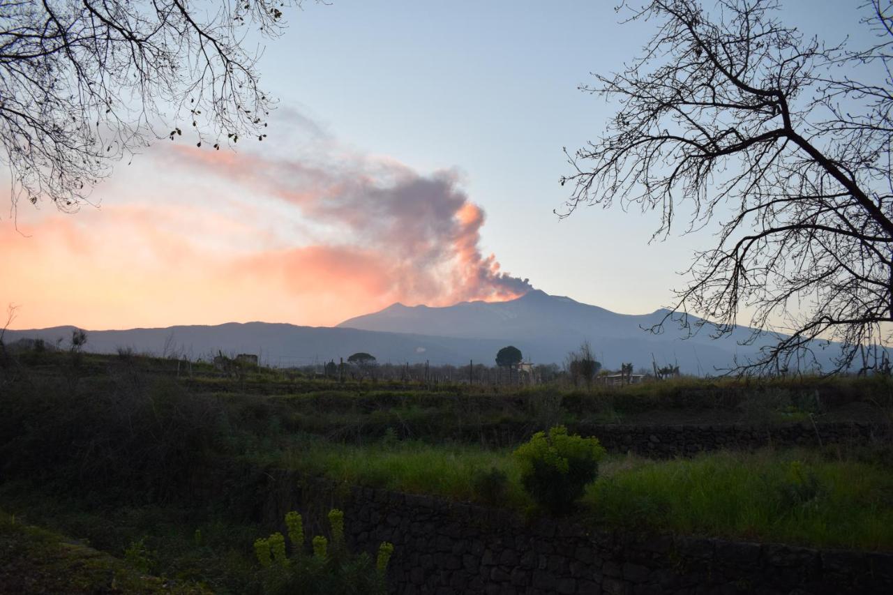 Villa Etna Tra Le Querce Santa Venerina Exterior foto