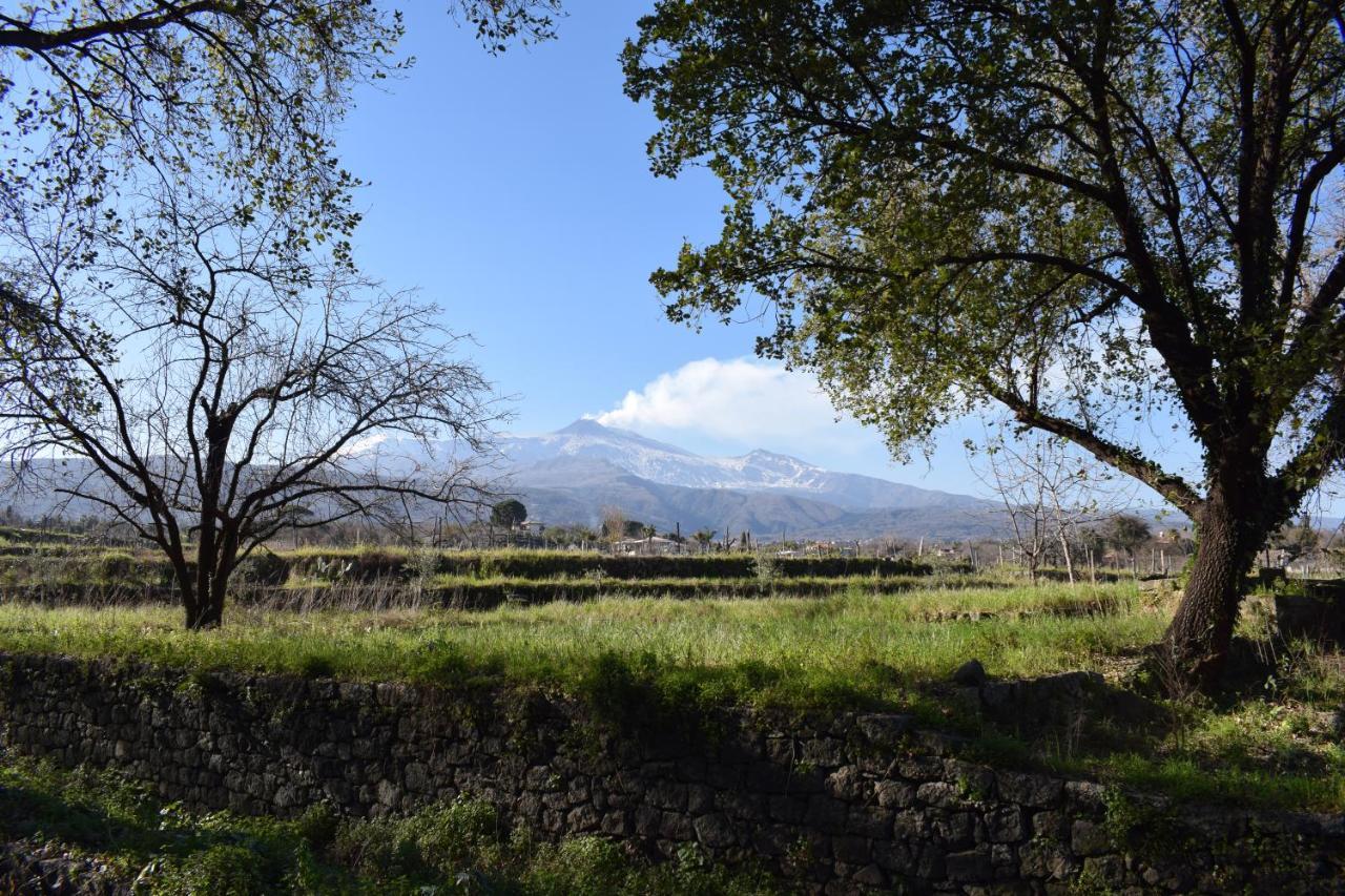 Villa Etna Tra Le Querce Santa Venerina Exterior foto